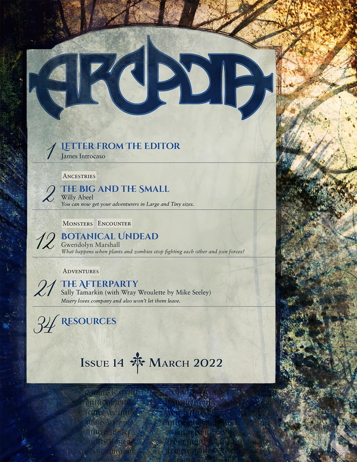 ARCADIA 14 | March 2022 - Image 3