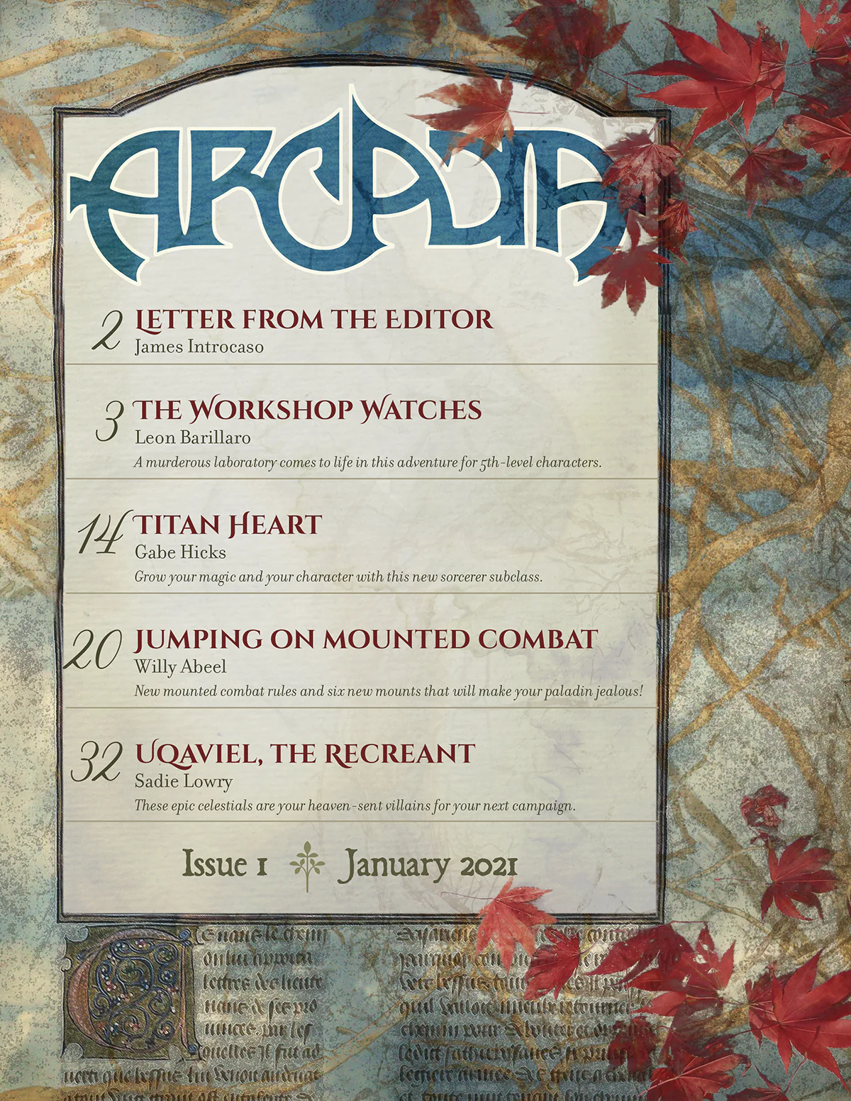 ARCADIA 1 | January 2021 - Image 3