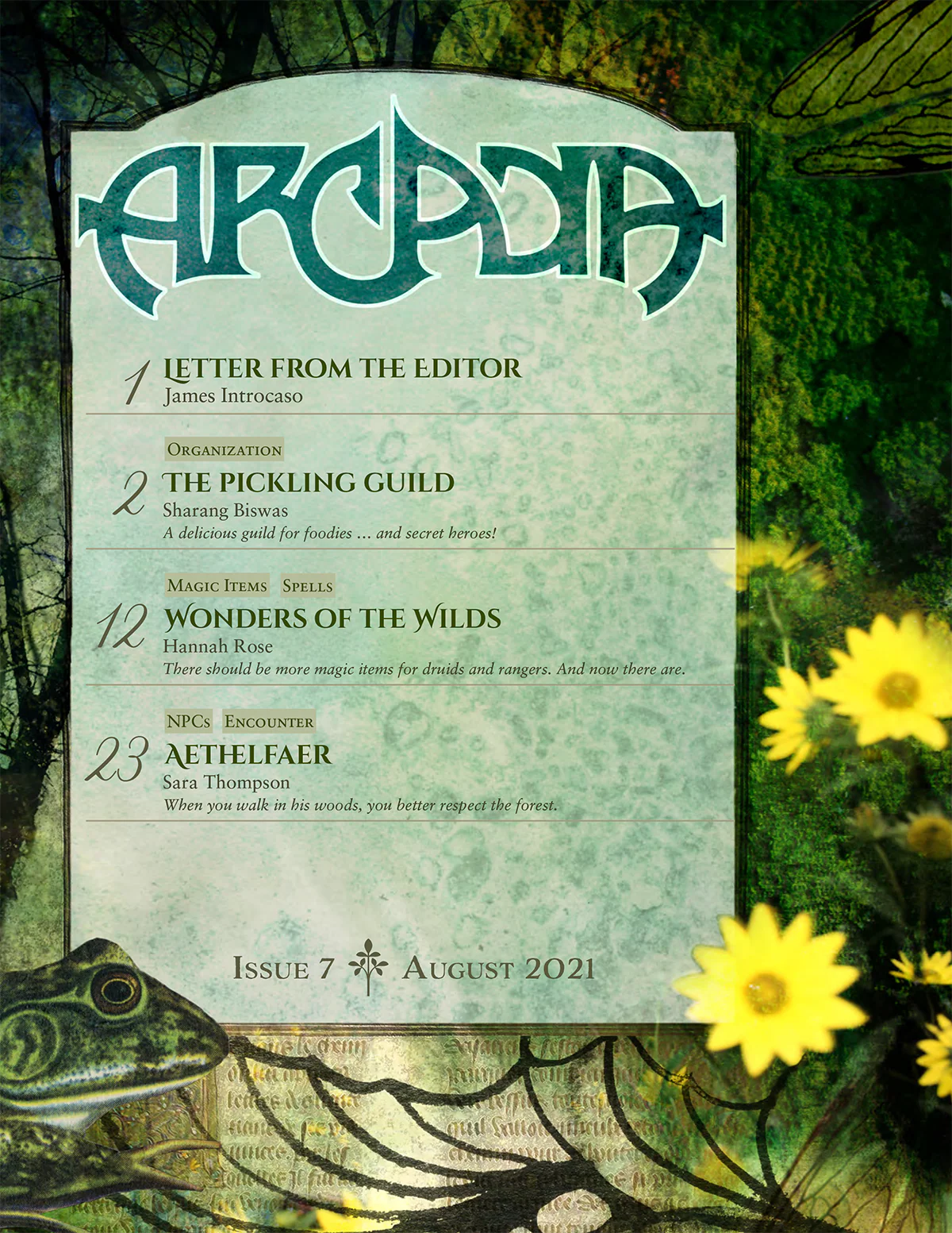 ARCADIA 7 | August 2021 - Image 3